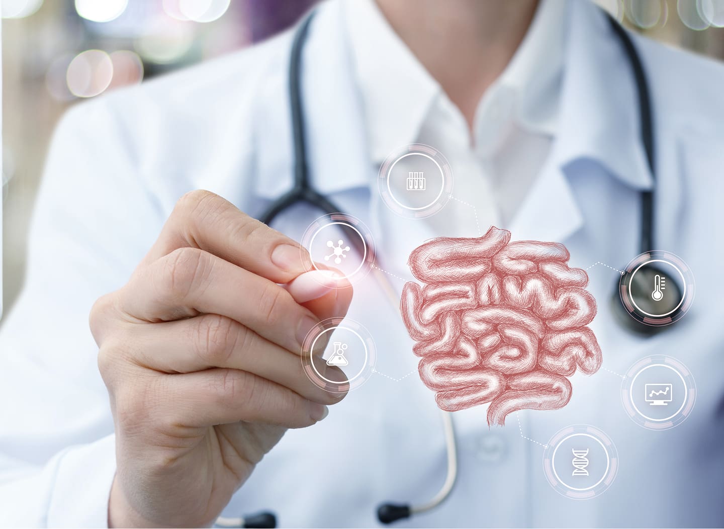Doctor holding a glowing intestine model.